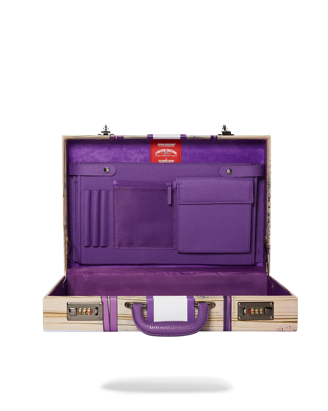 BILLIONS IN THE BANK BRIEFCASE - Image 11