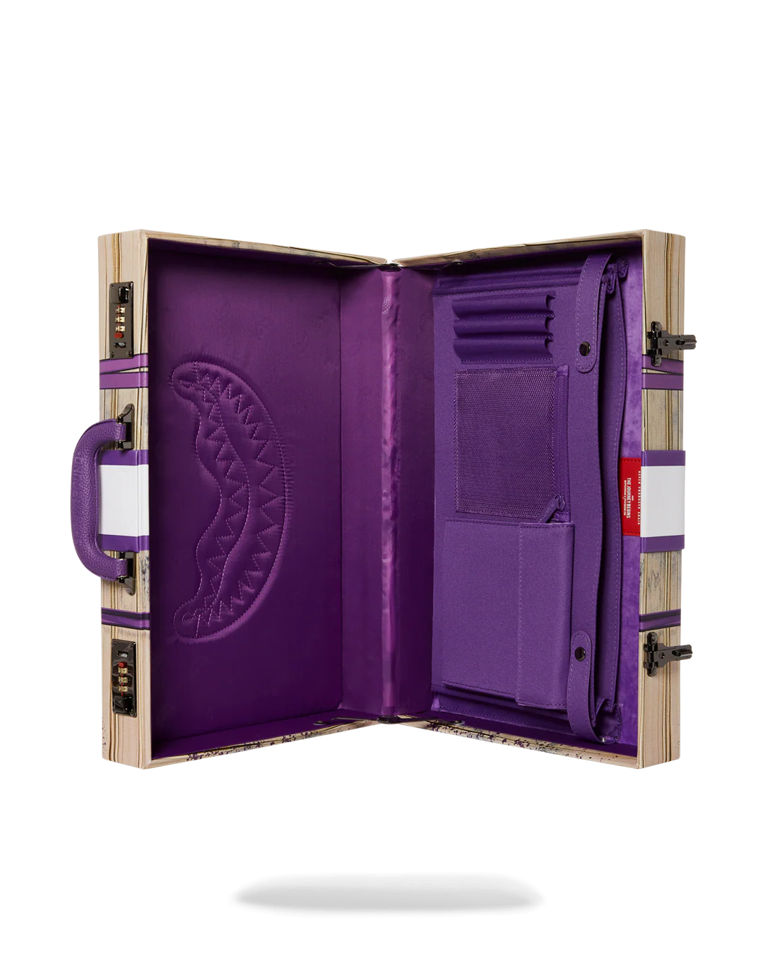 BILLIONS IN THE BANK BRIEFCASE - Image 13