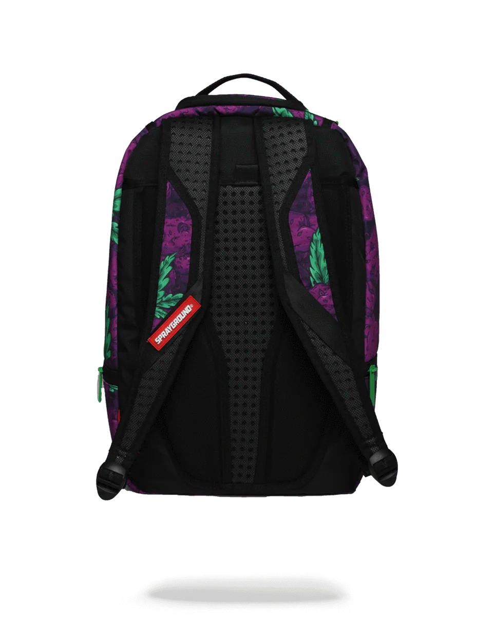 QUEEN INDICA - Image 3