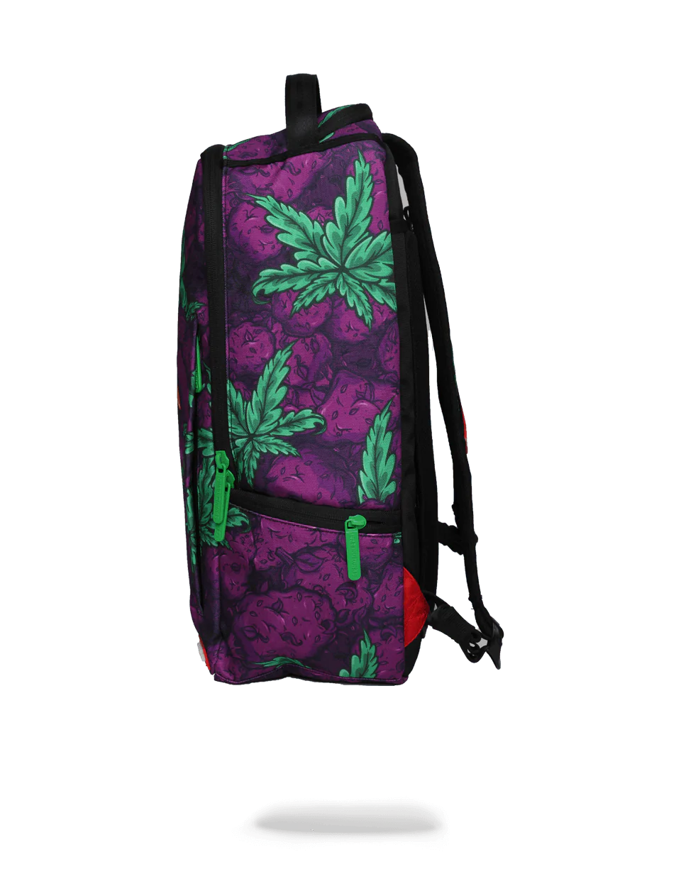 QUEEN INDICA - Image 4