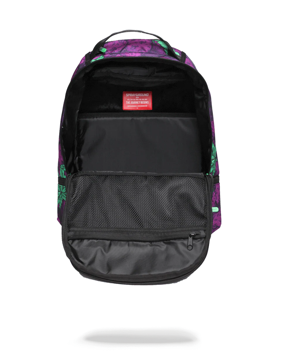 QUEEN INDICA - Image 5